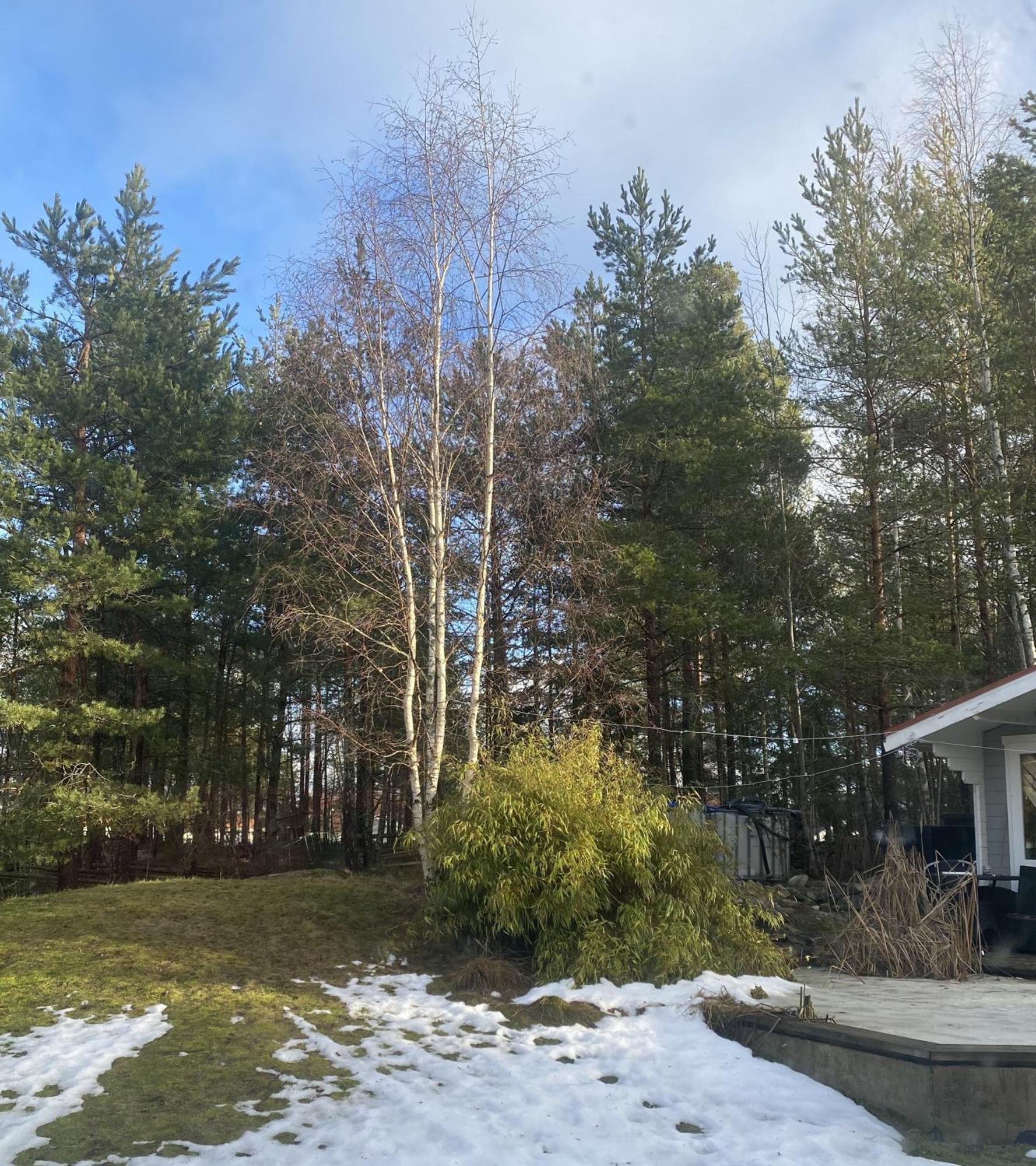 Villa In Svalsaeter, Kallfors, Jaerna, South Of Stockholm, Near Golf, Ytterjaerna Cultural House & The Baltic Sea Beach Järna Buitenkant foto